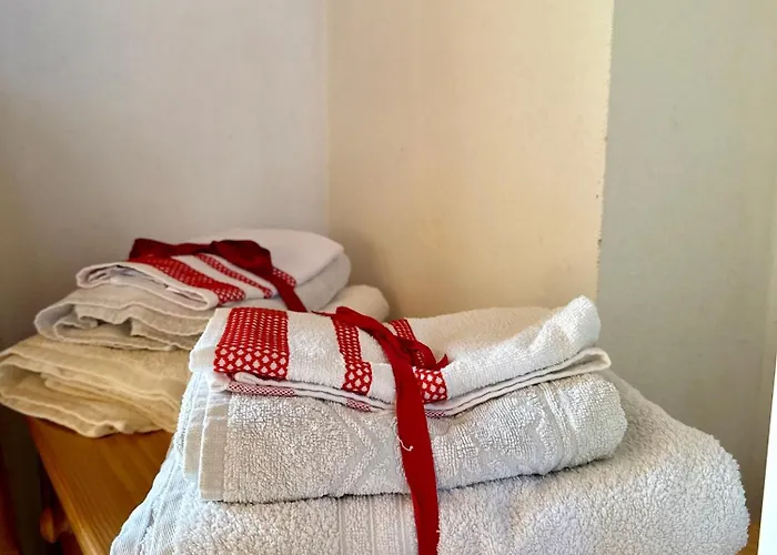 Magic Garden - Since 1911 Luino