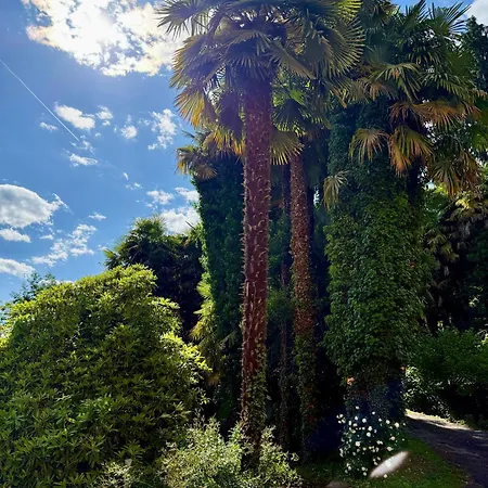 Apartment Magic Garden - Since 1911 Luino