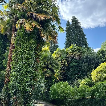 Magic Garden - Since 1911 Apartment *