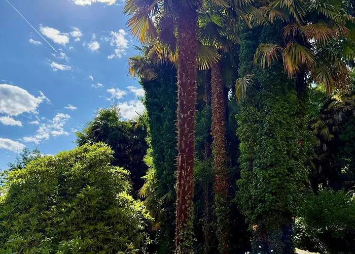 דירה Magic Garden - Since 1911 לואינו