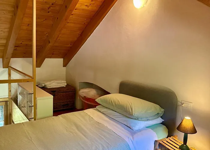 Magic Garden - Since 1911 * לואינו