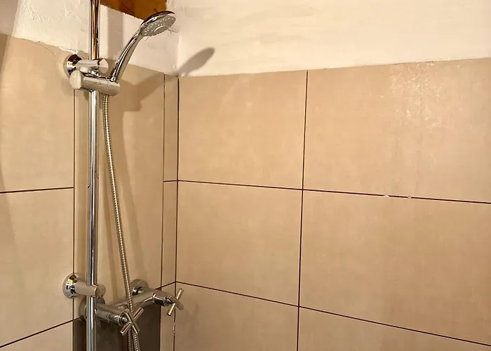 Magic Garden - Since 1911 * לואינו